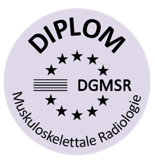 Diplom_DGMSR